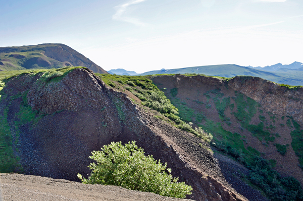Denali National Park scenery